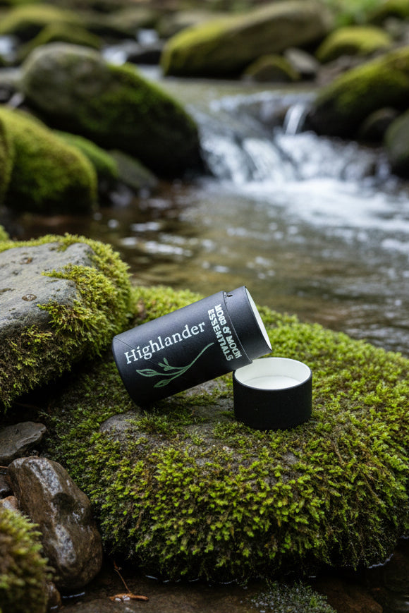 Highlander in the brook